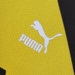 Camiseta Borussia Dortmund Pre-partido 2022-2023 logo