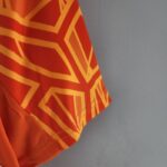 Camiseta Cruzeiro portero 2022-2023 naranja manga