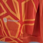 Camiseta Cruzeiro portero 2022-2023 naranja tecnología