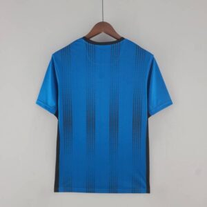 Camiseta Newcastle alternativa 2022-2023 dorso