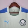 Camiseta Treino Palmeiras 2022-2023 verde claro cuello