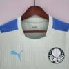 Camiseta Treino Palmeiras 2022-2023 verde claro cuello