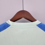 Camiseta Treino Palmeiras 2022-2023 verde claro dorso del cuello