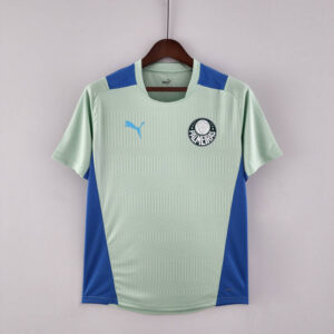 Camiseta Treino Palmeiras 2022-2023 verde claro frontal