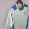 Camiseta Treino Palmeiras 2022-2023 verde claro lateral