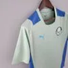 Camiseta Treino Palmeiras 2022-2023 verde claro lateral