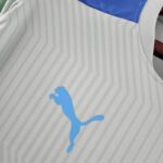 Camiseta Treino Palmeiras 2022-2023 verde claro logo