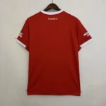 Camiseta Alternativa River Plate 2022-2023 dorso