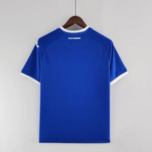 Camiseta Hoffenheim primera equipación 2022-2023 dorso