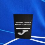 Camiseta Hoffenheim primera equipación 2022-2023 parche