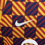 Camiseta FC Barcelona prepartido - Senyera 2023-2024 logo