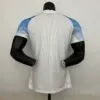Camiseta Nápolis segunda equipación 2022-2023 - Versión jugador dorso