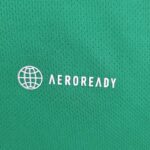 camiseta mexico 2022 verde logo aeroready