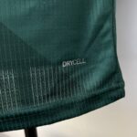 camiseta palmeiras verde 2023-2024 logo drycell