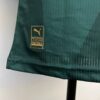 camiseta palmeiras verde 2023-2024 parche