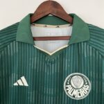 Camiseta Palmeiras 2024 cuello camisa