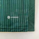 Camiseta Palmeiras 2024 logo aeroready