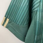 Camiseta Palmeiras 2024 manga