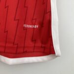 camiseta arsenal 2024 logo aeroreday