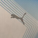 camiseta olympique de marsella 2024 logo puma