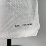 camiseta psg 2024 logo dri fit