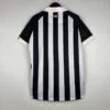 camiseta santos fc 2024 segunda dorsal