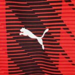 camiseta ac milán 2024 logo puma