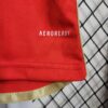 camiseta del benfica 2024 logo aeroready