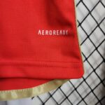 camiseta del benfica 2024 logo aeroready