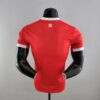 camiseta bayern munich 2023 dorsal