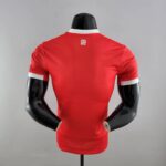 camiseta bayern munich 2023 dorsal