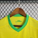 camiseta brasil 2024 cuello V