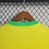 camiseta brasil 2024 cuello anterior