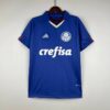 camiseta del palmeiras