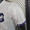 camiseta francia 2024 manga