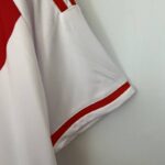 camiseta peru 2023 manga