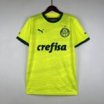 palmeiras camiseta