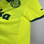 palmeiras camiseta lateral