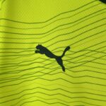 palmeiras camiseta logo puma