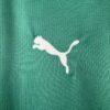 segunda equipacion alaves logo puma