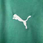 segunda equipacion alaves logo puma