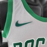 camiseta boston celtics gris logo nike