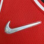 camiseta chicago bulls rojo logo nike