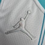 camiseta hornets blanca logo jordan