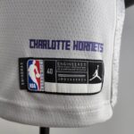 camiseta hornets gris etiqueta charlotte hornets