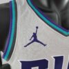 camiseta hornets gris logo jorddadn y bordes en celeste azul y negro en el cuello y manga