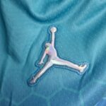 pantalon corto hornets azul logo jordan