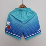 pantalon corto hornets azul parte trasera