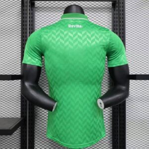 segunda equipacion betis 2024 dorsal