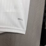 segunda equipacion palmeiras 2025 material